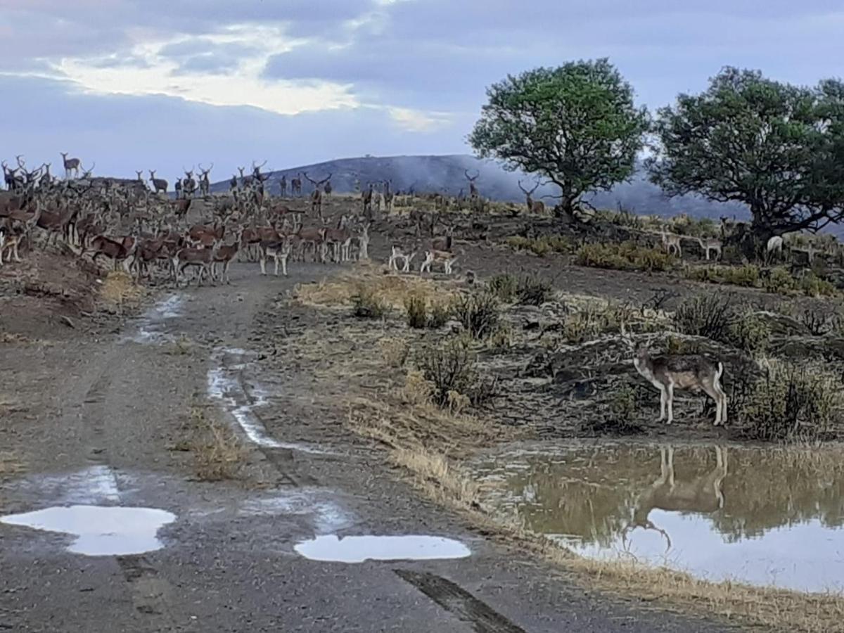 Aqui N' Al-Deia Casa de hóspedes Mértola Exterior foto